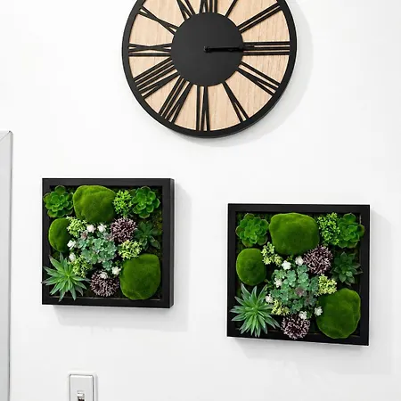 Flora
